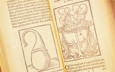 Thesaurus de Remediis Secretis – Circulo Cientifico – 11-VI-28 – Real Biblioteca del Monasterio de San Lorenzo de El Escorial (San Lorenzo de El Escorial, Spanien) Thesaurus de Remediis Secretis – Circulo Cientifico – 11-VI-28 – Real Biblioteca del Monasterio de San Lorenzo de El Escorial (San Lorenzo de El Escorial, Spanien)