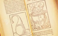 Thesaurus de Remediis Secretis – Circulo Cientifico – 11-VI-28 – Real Biblioteca del Monasterio de San Lorenzo de El Escorial (San Lorenzo de El Escorial, Spanien) Thesaurus de Remediis Secretis – Circulo Cientifico – 11-VI-28 – Real Biblioteca del Monasterio de San Lorenzo de El Escorial (San Lorenzo de El Escorial, Spanien)