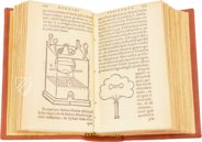 Thesaurus de Remediis Secretis – Circulo Cientifico – 11-VI-28 – Real Biblioteca del Monasterio de San Lorenzo de El Escorial (San Lorenzo de El Escorial, Spanien) Thesaurus de Remediis Secretis – Circulo Cientifico – 11-VI-28 – Real Biblioteca del Monasterio de San Lorenzo de El Escorial (San Lorenzo de El Escorial, Spanien)