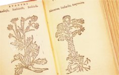 Thesaurus de Remediis Secretis – Circulo Cientifico – Real Biblioteca del Monasterio (San Lorenzo de El Escorial, Spanien)