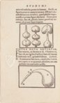 Thesaurus de Remediis Secretis - Pars Secunda – Circulo Cientifico – Biblioteca de la Academia de Farmacia de Castilla y León Thesaurus de Remediis Secretis - Pars Secunda – Circulo Cientifico – Biblioteca de la Academia de Farmacia de Castilla y León