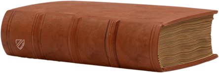 Thesaurus de Remediis Secretis - Pars Secunda – Circulo Cientifico – Biblioteca de la Academia de Farmacia de Castilla y León Thesaurus de Remediis Secretis - Pars Secunda – Circulo Cientifico – Biblioteca de la Academia de Farmacia de Castilla y León