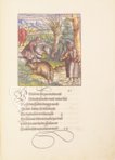 Theuerdank - Münchner Codex – Taschen – Rar. 325 a – Bayerische Staatsbibliothek (München, Deutschland)