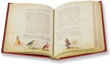 Tierbuch des Petrus Candidus – Belser Verlag – Urb. lat. 276 – Biblioteca Apostolica Vaticana (Vatikanstadt, Vatikanstadt)