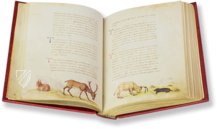 Tierbuch des Petrus Candidus – Belser Verlag – Urb. lat. 276 – Biblioteca Apostolica Vaticana (Vatikanstadt, Vatikanstadt)