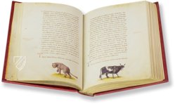 Tierbuch des Petrus Candidus – Belser Verlag – Urb. lat. 276 – Biblioteca Apostolica Vaticana (Vatikanstadt, Vatikanstadt)