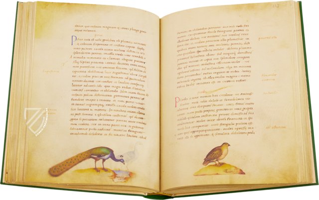 Tierbuch des Petrus Candidus – Belser Verlag – Urb. lat. 276 – Biblioteca Apostolica Vaticana (Vatikanstadt, Vatikanstadt)