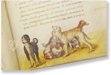 Tierbuch des Petrus Candidus (Leinen-Ausgabe) Faksimile