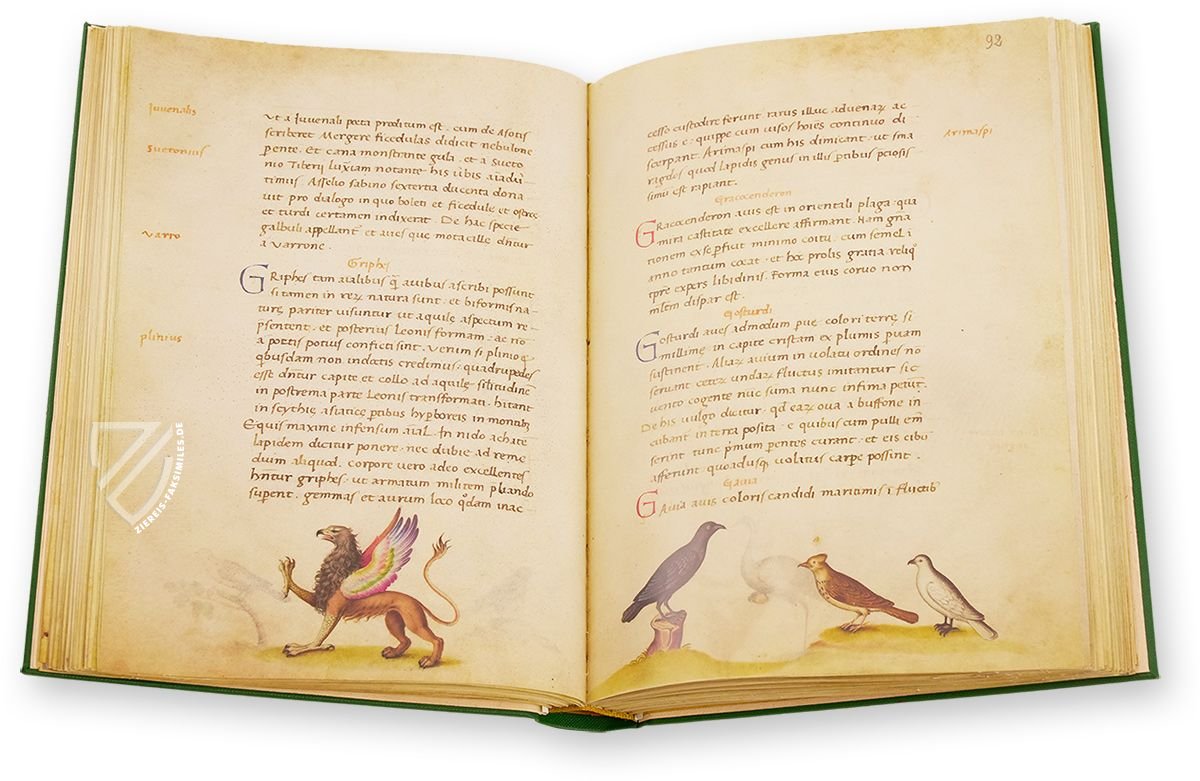 Tierbuch des Petrus Candidus