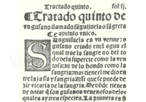 Tractado muy provechoso del anatomia, y phlebotomia de venas y arterias y del anatomia de los nervios, con un tractado de ventosas y otro de sanguijuelas con unas reglas generales para saber los dias aptos para las sangrias – Vicent Garcia Editores – 