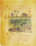 Traktat der Jagd und Fischerei – Patrimonio Ediciones – Cod. Gr. Z. 479 (=881) – Biblioteca Nazionale Marciana (Venedig, Italien)