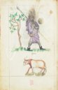 Traktat der Sternbilder von Albumasar: Liber astrologiae – M. Moleiro Editor – Sloane 3983 – British Library (London, Vereinigtes Königreich) Traktat der Sternbilder von Albumasar: Liber astrologiae – M. Moleiro Editor – Sloane 3983 – British Library (London, Vereinigtes Königreich)
