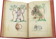 Traktat der Sternbilder von Albumasar: Liber atrologiae – M. Moleiro Editor – Sloane 3983 – British Library (London, Vereinigtes Königreich)