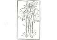 Traktat über den Aderlass – Vicent Garcia Editores – RES/ANAT. 297 – Bayerische Staatsbibliothek (München, Deutschland) Traktat über den Aderlass – Vicent Garcia Editores – RES/ANAT. 297 – Bayerische Staatsbibliothek (München, Deutschland)