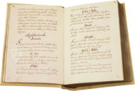 Trobes dels Linages â Vicent Garcia Editores â Ms. 885 â Biblioteca Històrica de la Universitat de València (Valencia, Spanien) Trobes dels Linages â Vicent Garcia Editores â Ms. 885 â Biblioteca Històrica de la Universitat de València (Valencia, Spanien)