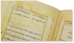 Tuti-Nama – Akademische Druck- u. Verlagsanstalt (ADEVA) – Cleveland Museum of Art (Cleveland, USA)