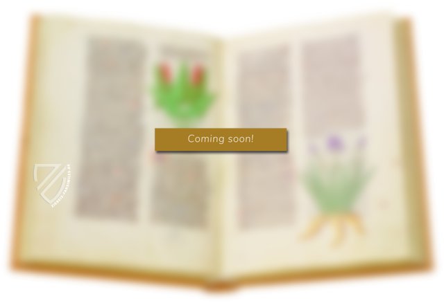 Two East Anglian Picture Books: Helmingham Herbal and Bestiary and Bodleian Ms. Ashmole 1504