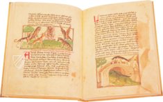 Udine Aesop – Casamassima Libri – Cod. Bartolini 83 (olim 34) – Biblioteca Arcivescovile e Bartoliniana (Udine, Italien)