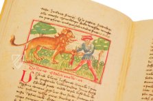 Udine Aesop – Casamassima Libri – Cod. Bartolini 83 (olim 34) – Biblioteca Arcivescovile e Bartoliniana (Udine, Italien)