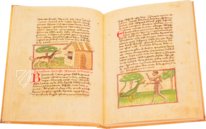 Udine Aesop – Casamassima Libri – Cod. Bartolini 83 (olim 34) – Biblioteca Arcivescovile e Bartoliniana (Udine, Italien)