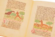 Udine Aesop – Casamassima Libri – Cod. Bartolini 83 (olim 34) – Biblioteca Arcivescovile e Bartoliniana (Udine, Italien)