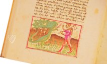 Udine Aesop – Casamassima Libri – Cod. Bartolini 83 (olim 34) – Biblioteca Arcivescovile e Bartoliniana (Udine, Italien)