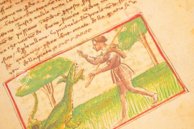 Udine Aesop – Casamassima Libri – Cod. Bartolini 83 (olim 34) – Biblioteca Arcivescovile e Bartoliniana (Udine, Italien)