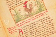 Udine Aesop – Casamassima Libri – Cod. Bartolini 83 (olim 34) – Biblioteca Arcivescovile e Bartoliniana (Udine, Italien)