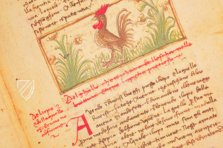 Udine Aesop – Casamassima Libri – Cod. Bartolini 83 (olim 34) – Biblioteca Arcivescovile e Bartoliniana (Udine, Italien)