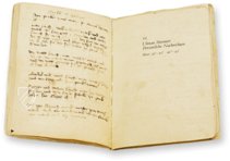 Ulman Stromer - Püchel von meim geslecht und von abentewr – Müller & Schindler – Hs 6146 – Germanisches Nationalmuseum (Nürnberg, Deutschland)