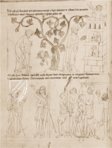 Velislai Biblia Picta – ms. XXIII.C.124 – National Library of the Czech Republic (Prague, Tschechien) Faksimile