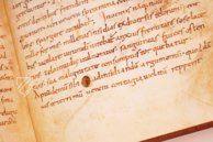 Vita Sanctorum Marini et Leonis  – Imago – Ms. F.III.16 – Biblioteca Nazionale Universitaria di Torino (Turin, Italien)