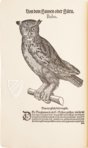 Vogelbuch. Faksimile nach der Ausgabe bei Froschauer, Zürich 1557. (Vorzugsausgabe)