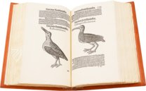 Vogelbuch. Faksimile nach der Ausgabe bei Froschauer, Zürich 1557. (Vorzugsausgabe)