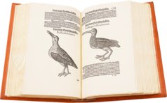 Vogelbuch. Faksimile nach der Ausgabe bei Froschauer, Zürich 1557. (Vorzugsausgabe)