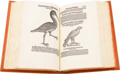 Vogelbuch. Faksimile nach der Ausgabe bei Froschauer, Zürich 1557. (Vorzugsausgabe)