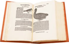 Vogelbuch. Faksimile nach der Ausgabe bei Froschauer, Zürich 1557. (Vorzugsausgabe)