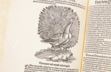 Vogelbuch. Faksimile nach der Ausgabe bei Froschauer, Zürich 1557. (Vorzugsausgabe)