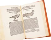 Vogelbuch. Faksimile nach der Ausgabe bei Froschauer, Zürich 1557. (Vorzugsausgabe)