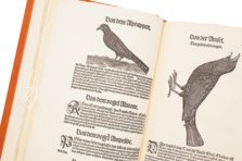 Vogelbuch. Faksimile nach der Ausgabe bei Froschauer, Zürich 1557. (Vorzugsausgabe)