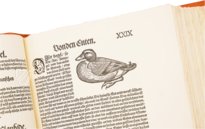 Vogelbuch. Faksimile nach der Ausgabe bei Froschauer, Zürich 1557. (Vorzugsausgabe)