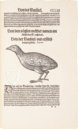 Vogelbuch. Faksimile nach der Ausgabe bei Froschauer, Zürich 1557. (Vorzugsausgabe)