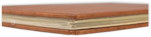 Vom Einfluß der Gestirne – Faksimile Verlag – Ms. C 54 – Zentralbibliothek Zürich (Zürich, Schweiz) Vom Einfluß der Gestirne – Faksimile Verlag – Ms. C 54 – Zentralbibliothek Zürich (Zürich, Schweiz)