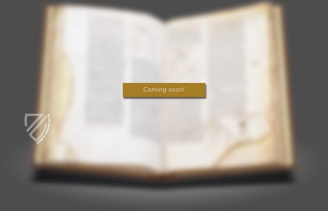 Von der Pracht Roms in der Antike und Moderne – Salerno Editrice – 