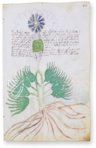 Voynich-Manuskript – MS 408 – Beinecke Rare Book and Manuscript Library (New Haven, USA) Faksimile