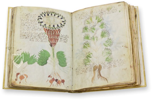 Voynich-Manuskript – Siloé, arte y bibliofilia – MS 408 – Beinecke Rare Book and Manuscript Library (New Haven, USA)