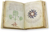 Voynich-Manuskript – Siloé, arte y bibliofilia – MS 408 – Beinecke Rare Book and Manuscript Library (New Haven, USA)