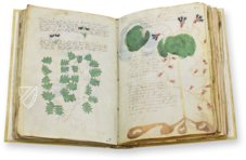 Voynich-Manuskript – Siloé, arte y bibliofilia – MS 408 – Beinecke Rare Book and Manuscript Library (New Haven, USA)