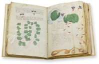 Voynich-Manuskript – Siloé, arte y bibliofilia – MS 408 – Beinecke Rare Book and Manuscript Library (New Haven, USA)