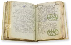 Voynich-Manuskript – Siloé, arte y bibliofilia – MS 408 – Beinecke Rare Book and Manuscript Library (New Haven, USA)